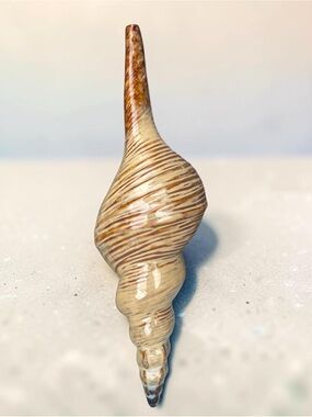 Vintage Large Ceramic Pottery Conch Seashell Coastal Beach Nautical Decor